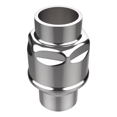 Check valve